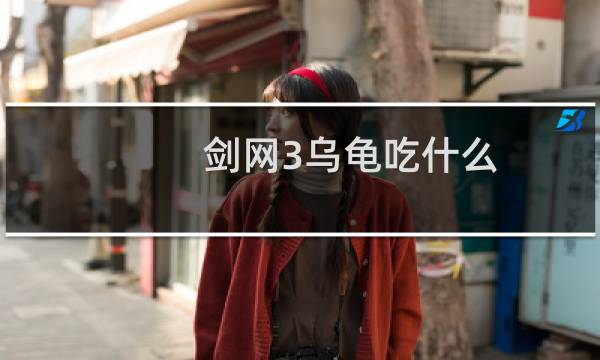 剑网3乌龟吃什么