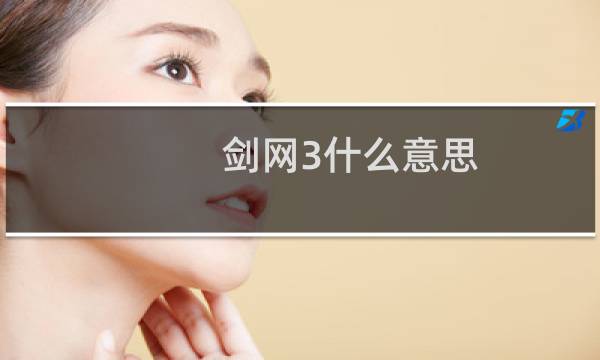 剑网3什么意思