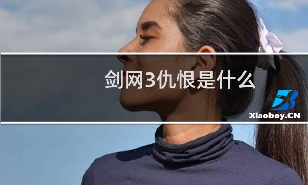 剑网3仇恨是什么