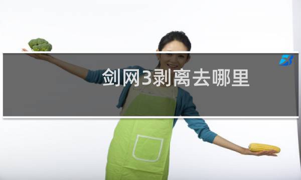 剑网3剥离去哪里