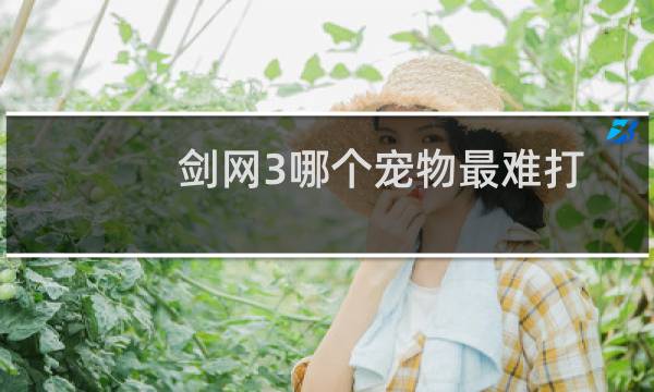 剑网3哪个宠物最难打