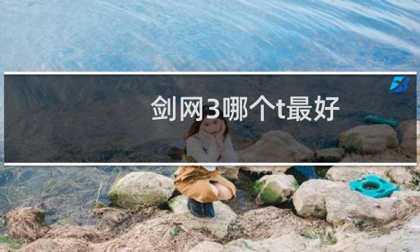 剑网3哪个t最好