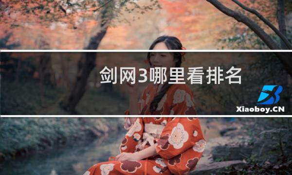 剑网3哪里看排名