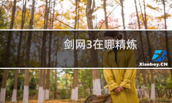 剑网3在哪精炼