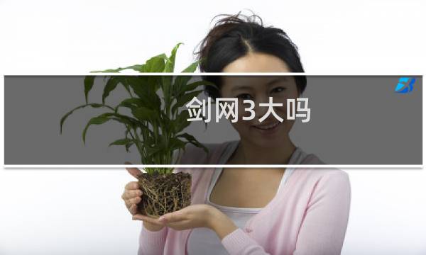 剑网3大吗
