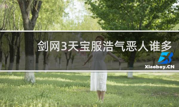 剑网3天宝服浩气恶人谁多