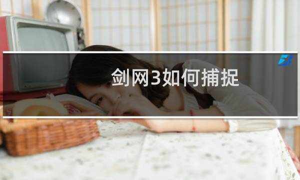 剑网3如何捕捉