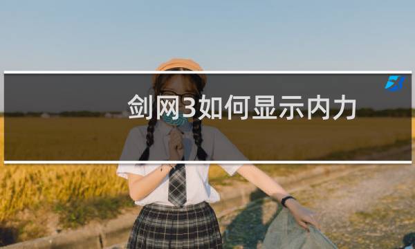 剑网3如何显示内力