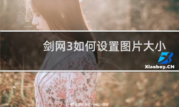 剑网3如何设置图片大小