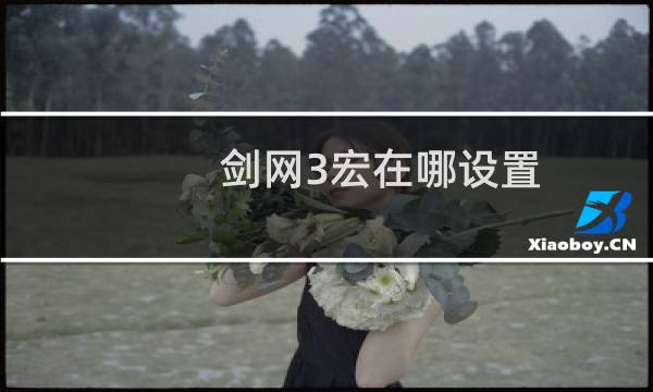 剑网3宏在哪设置