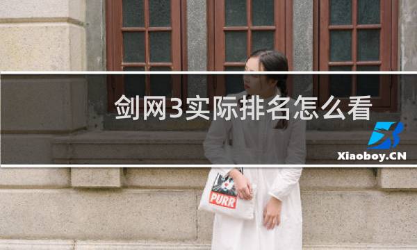 剑网3实际排名怎么看