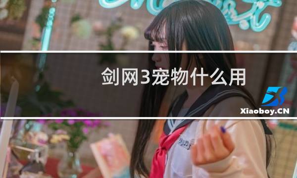 剑网3宠物什么用