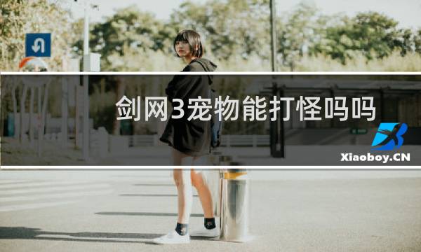剑网3宠物能打怪吗吗