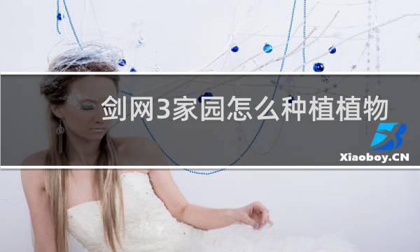 剑网3家园怎么种植植物