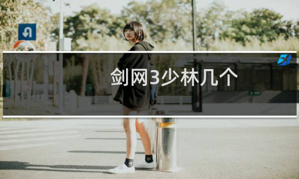 剑网3少林几个