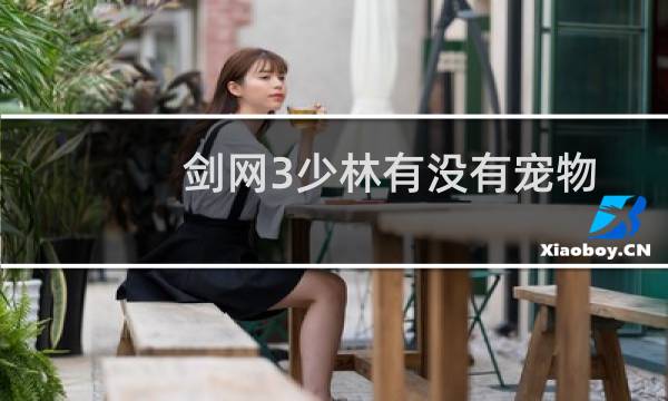 剑网3少林有没有宠物