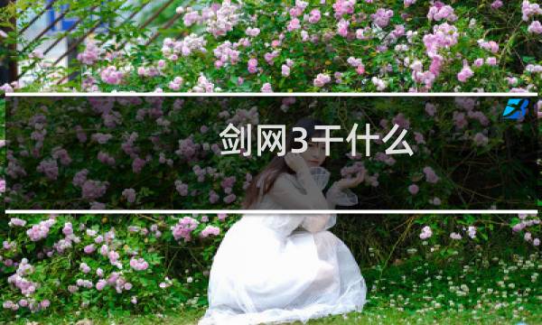 剑网3干什么