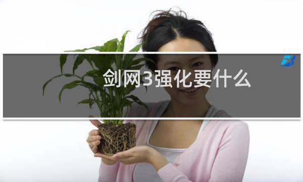 剑网3强化要什么