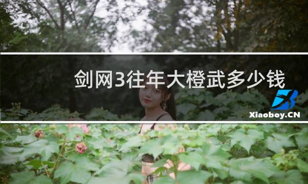 剑网3往年大橙武多少钱