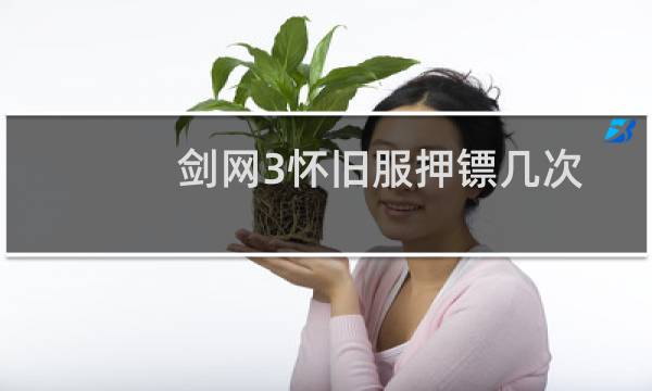 剑网3怀旧服押镖几次