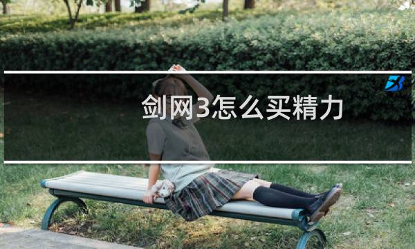 剑网3怎么买精力