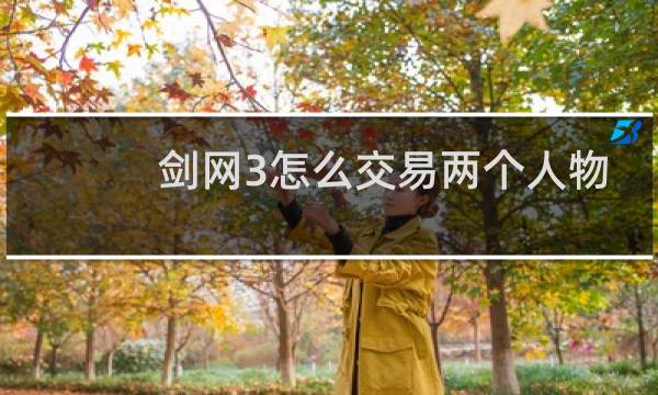 剑网3怎么交易两个人物