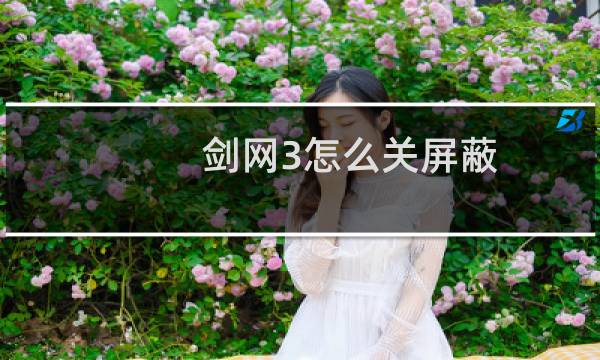 剑网3怎么关屏蔽
