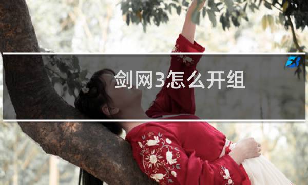 剑网3怎么开组
