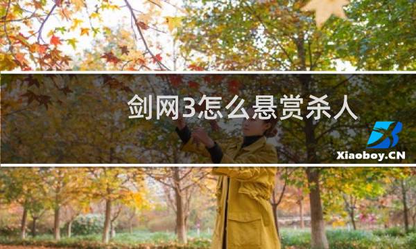 剑网3怎么悬赏杀人