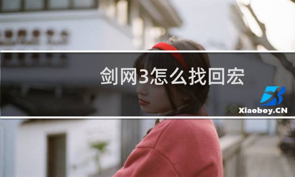 剑网3怎么找回宏