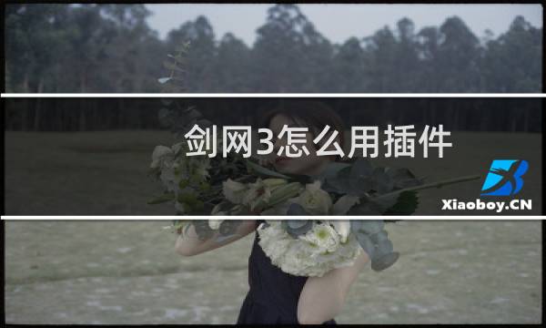 剑网3怎么用插件