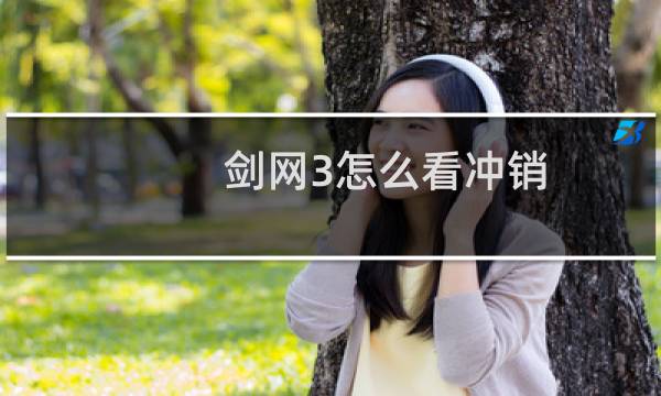 剑网3怎么看冲销