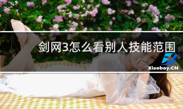 剑网3怎么看别人技能范围