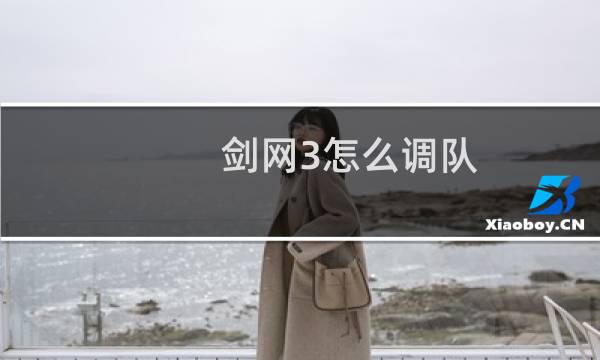 剑网3怎么调队