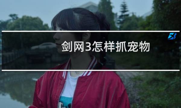 剑网3怎样抓宠物