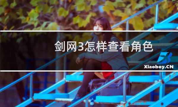 剑网3怎样查看角色