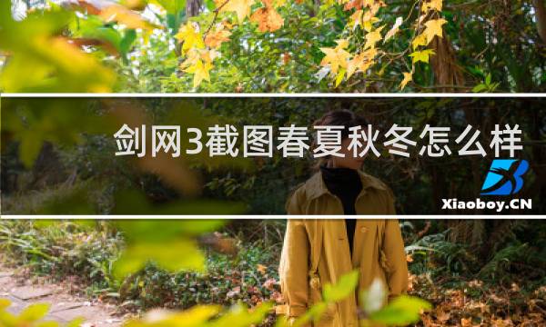 剑网3截图春夏秋冬怎么样