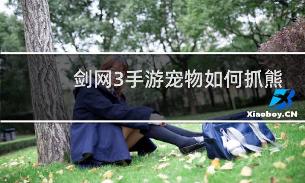 剑网3手游宠物如何抓熊