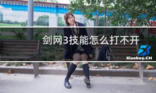 剑网3技能怎么打不开