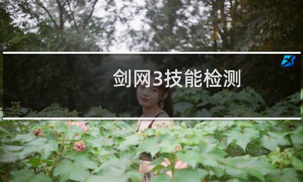剑网3技能检测