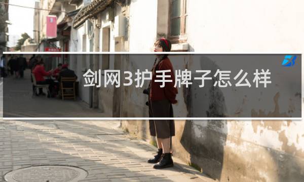 剑网3护手牌子怎么样