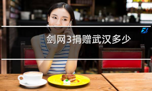 剑网3捐赠武汉多少