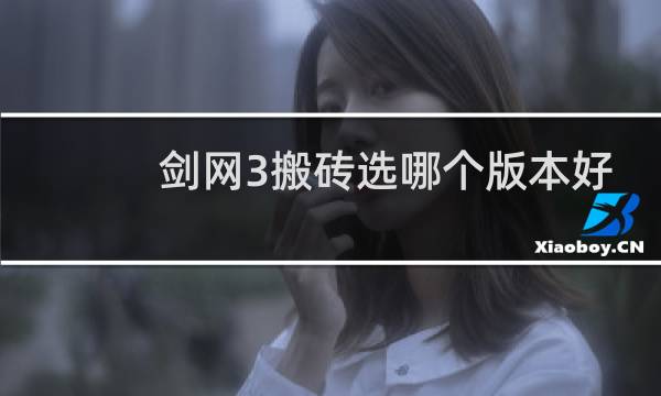 剑网3搬砖选哪个版本好