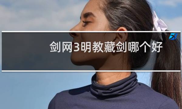 剑网3明教藏剑哪个好