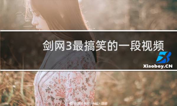 剑网3最搞笑的一段视频