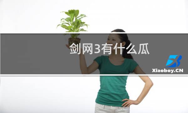 剑网3有什么瓜
