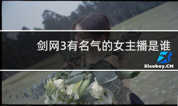 剑网3有名气的女主播是谁