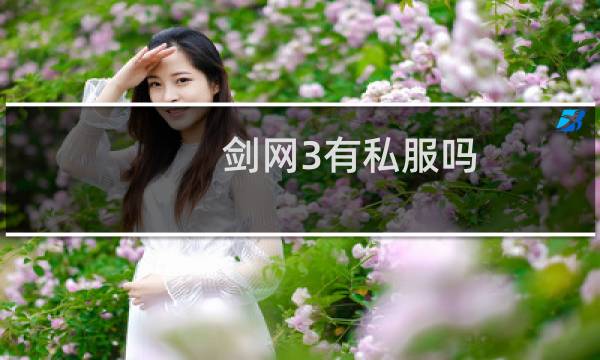 剑网3有私服吗
