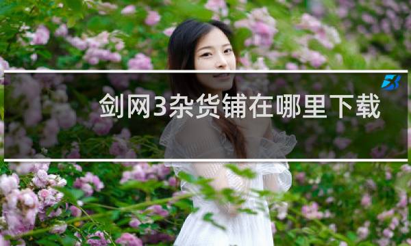 剑网3杂货铺在哪里下载