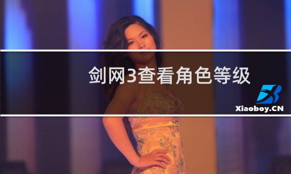 剑网3查看角色等级